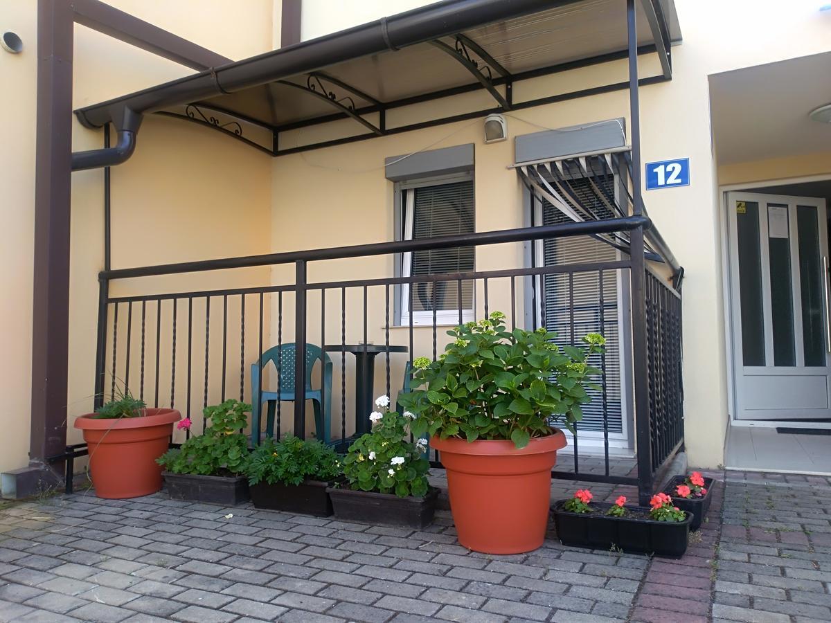 New Studio 70M To The Lake Ohrid Exterior foto